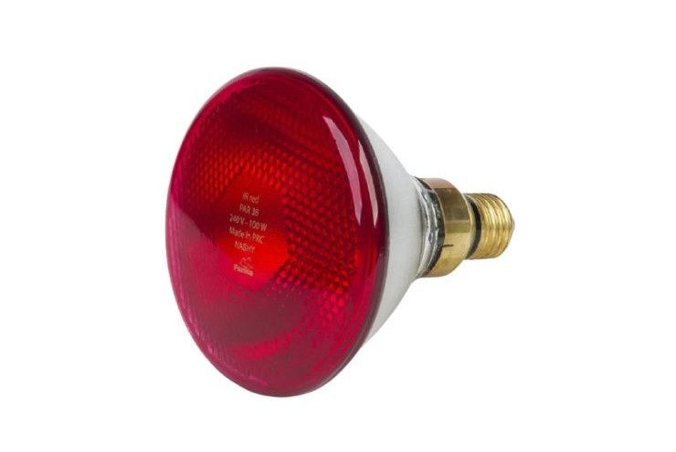 Lampe chauffante à infrarouge 175W E27