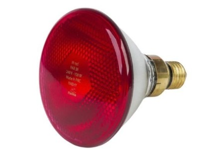 Lampe chauffante à infrarouge 175W E27