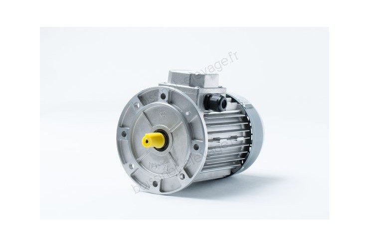 Moteur nu de 0.37Kw ( 00107092 ou 00601260)